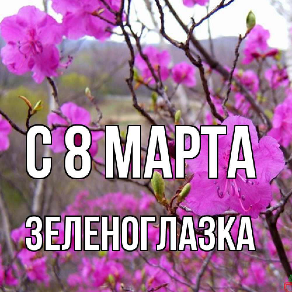 Открытка на каждый день с именем, зеленоглазка C 8 МАРТА международный женский день Прикольная открытка с пожеланием онлайн скачать бесплатно 