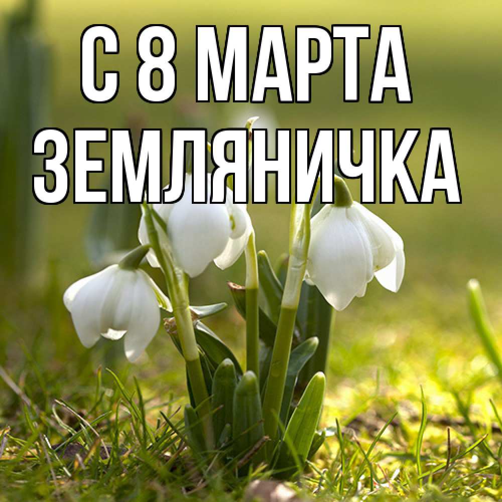 Открытка на каждый день с именем, Земляничка C 8 МАРТА ранние цветы 2 Прикольная открытка с пожеланием онлайн скачать бесплатно 