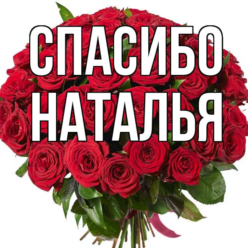 Открытка на каждый день с именем, Наталья Спасибо букет красных роз Прикольная открытка с пожеланием онлайн скачать бесплатно 