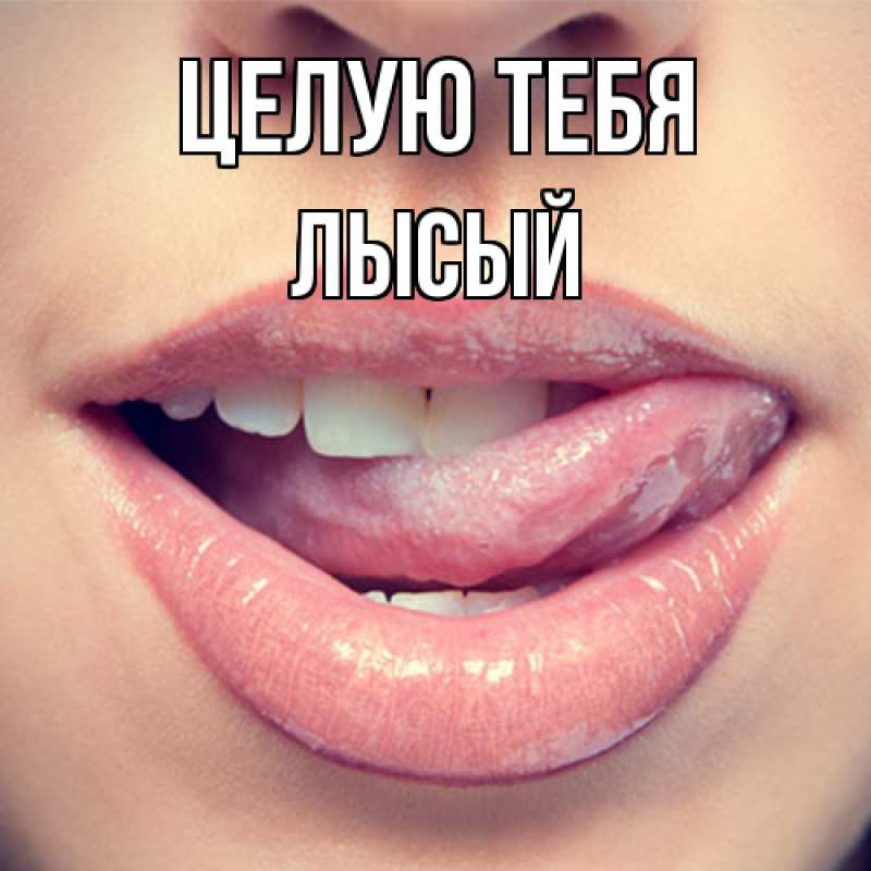 Картинка Целую тебя, Лысый