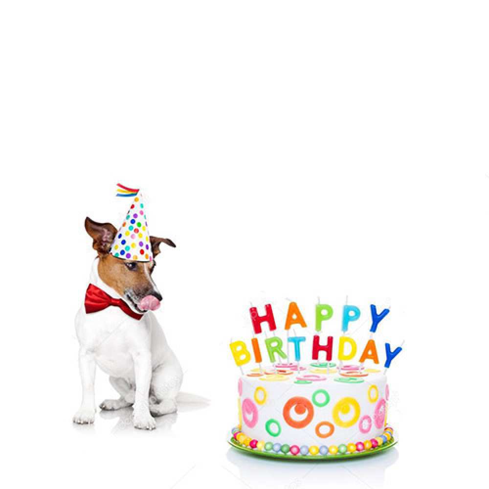 Открытка на каждый день с именем, василек С днем рождения праздник Прикольная открытка с пожеланием онлайн скачать бесплатно 