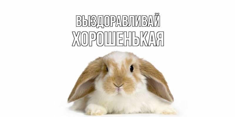 Картинка Выздоравливай, хорошенькая