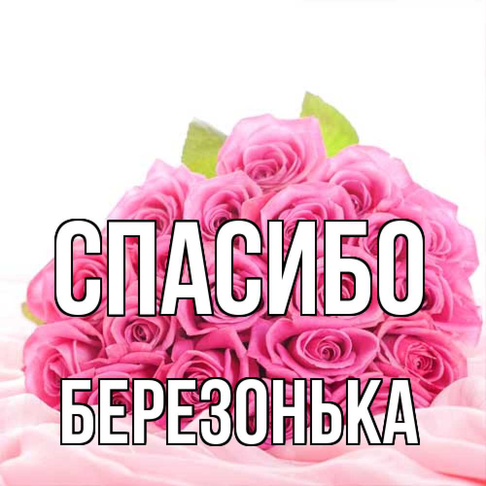 Открытка на каждый день с именем, Березонька Спасибо розовые розы с подписью Прикольная открытка с пожеланием онлайн скачать бесплатно 