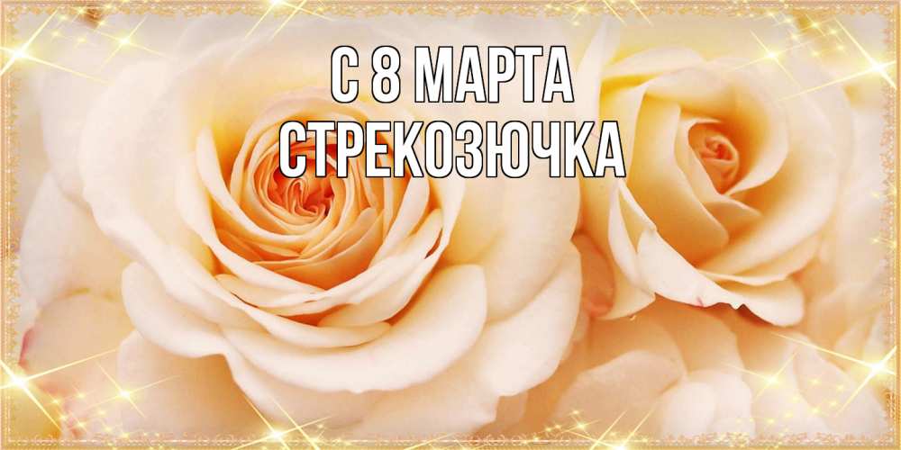 Открытка на каждый день с именем, Стрекозючка C 8 МАРТА новые открытки для мамы на 8 марта Прикольная открытка с пожеланием онлайн скачать бесплатно 