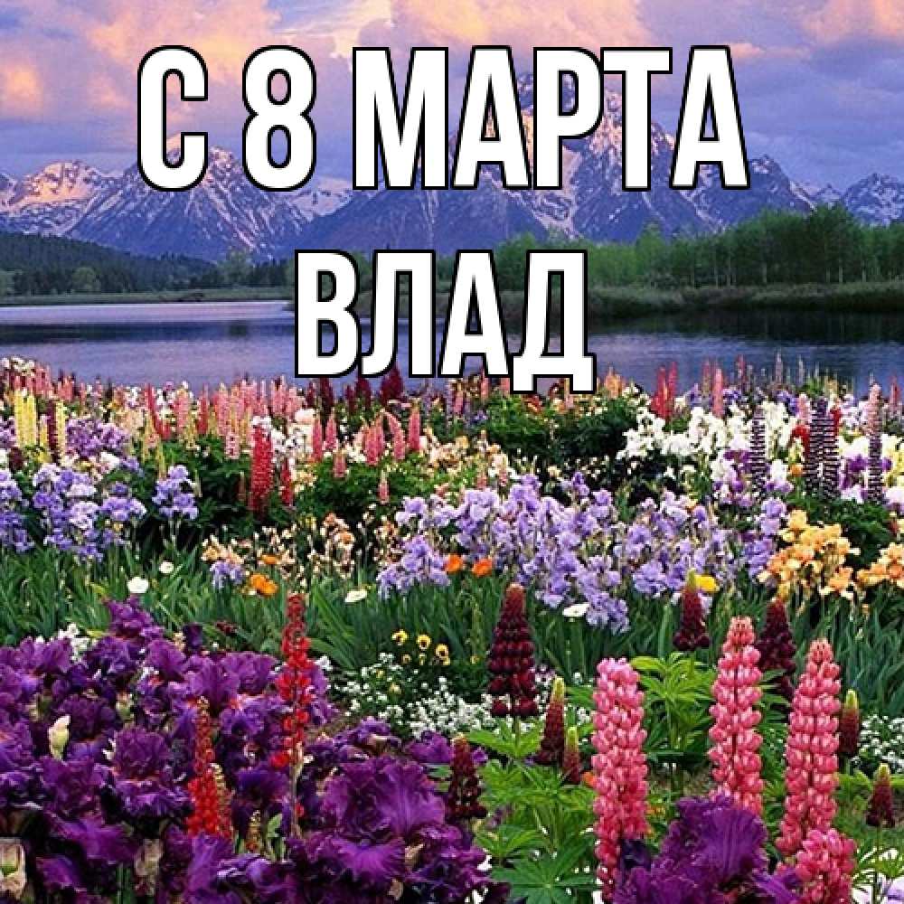 Открытка на каждый день с именем, Влад C 8 МАРТА международный женский день Прикольная открытка с пожеланием онлайн скачать бесплатно 