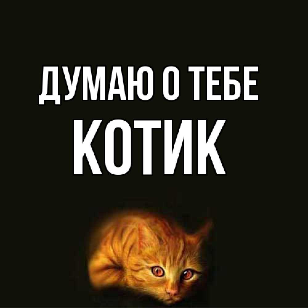 Открытка на каждый день с именем, Котик Думаю о тебе рыжий Прикольная открытка с пожеланием онлайн скачать бесплатно 