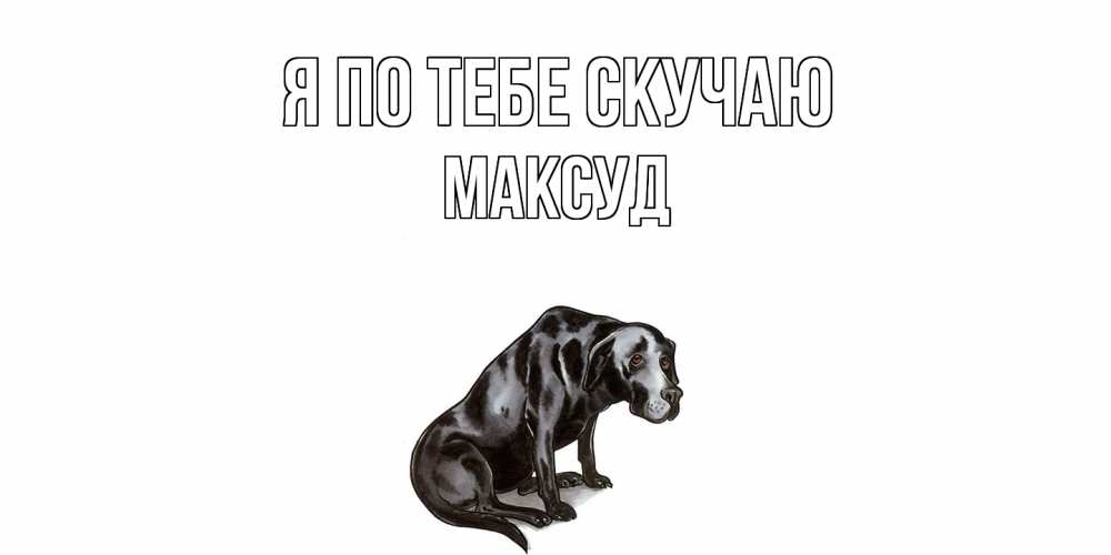 Открытка на каждый день с именем, Максуд Я по тебе скучаю я по тебе скучаю открытка с собакой Прикольная открытка с пожеланием онлайн скачать бесплатно 
