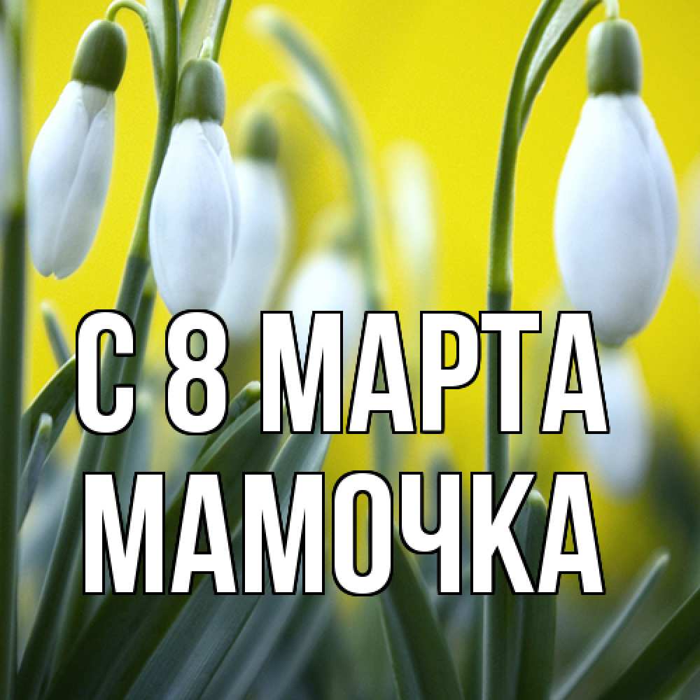 Открытка на каждый день с именем, Мамочка C 8 МАРТА весенние цветы Прикольная открытка с пожеланием онлайн скачать бесплатно 
