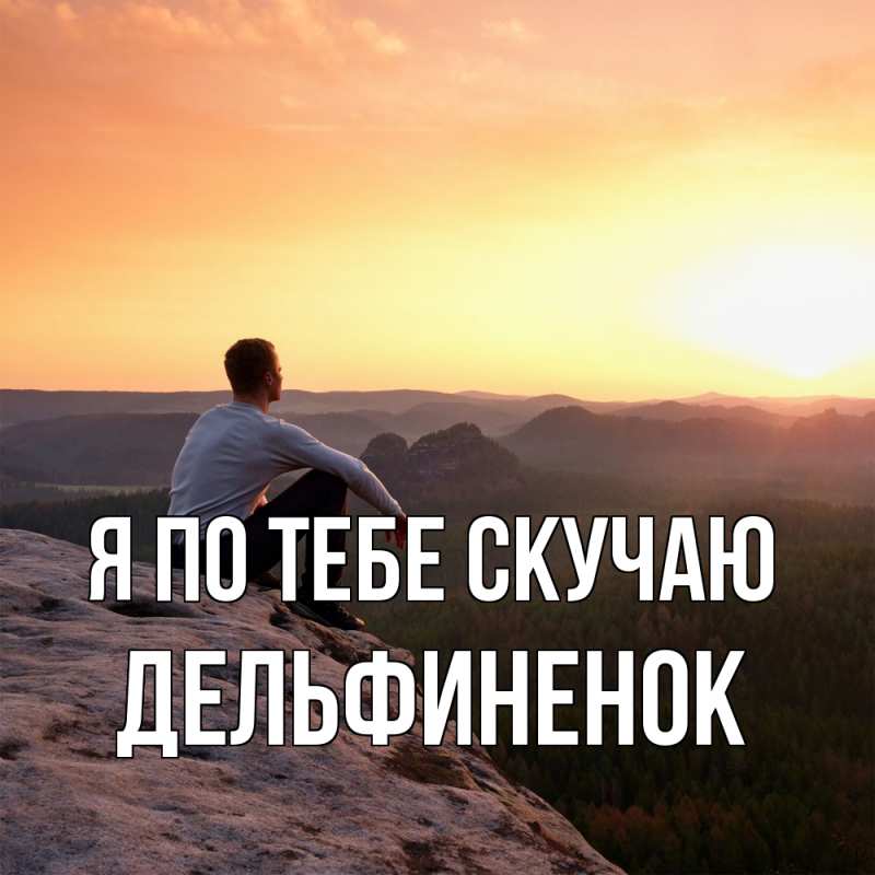 Картинка Я по тебе скучаю, дельфиненок