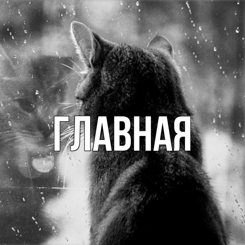 Картинка  с именем , настя