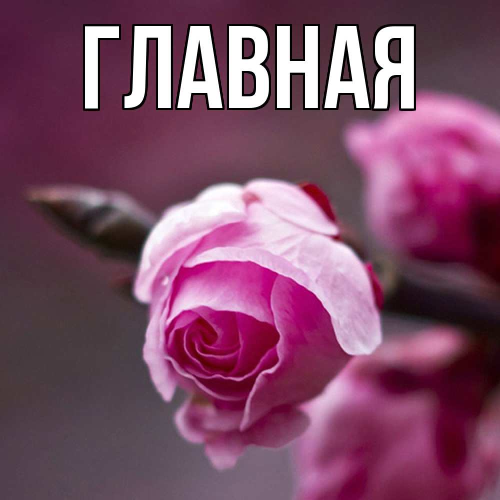 Открытка на каждый день с именем, Анна Главная весна Прикольная открытка с пожеланием онлайн скачать бесплатно 