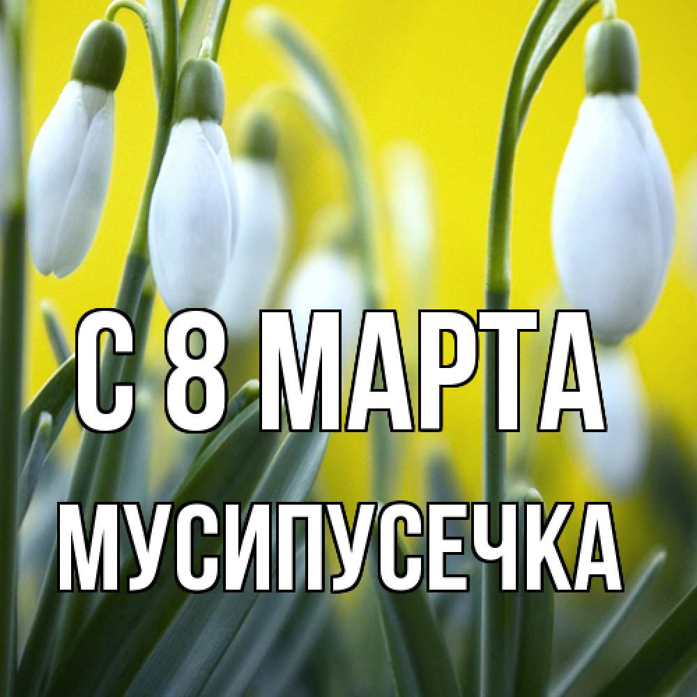 Открытка на каждый день с именем, Мусипусечка C 8 МАРТА весенние цветы Прикольная открытка с пожеланием онлайн скачать бесплатно 