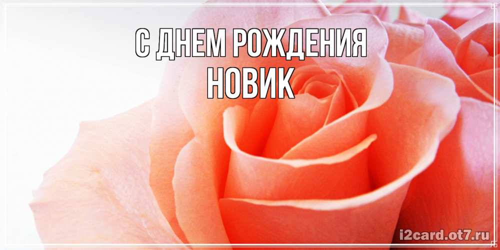 Открытка на каждый день с именем, новик С днем рождения розы для поздравления с днем рождения Прикольная открытка с пожеланием онлайн скачать бесплатно 