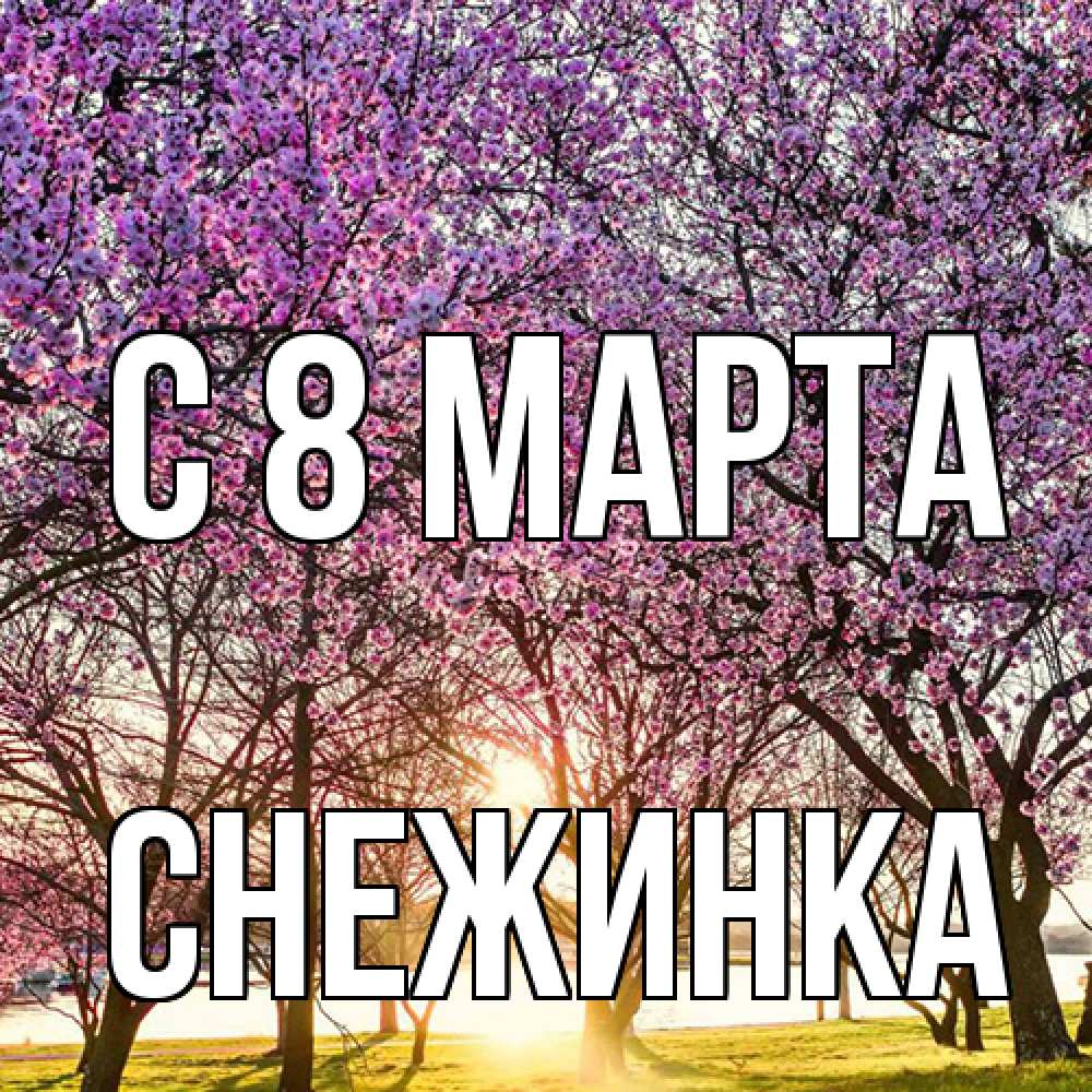 Открытка на каждый день с именем, Снежинка C 8 МАРТА международный женский день Прикольная открытка с пожеланием онлайн скачать бесплатно 