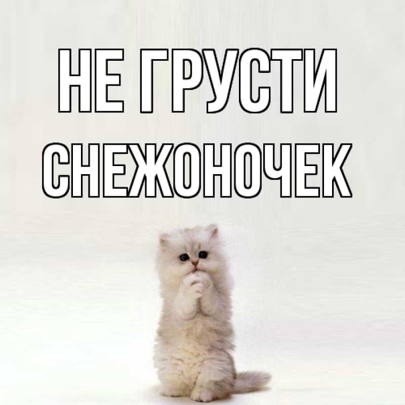 Картинка Не грусти, Снежоночек