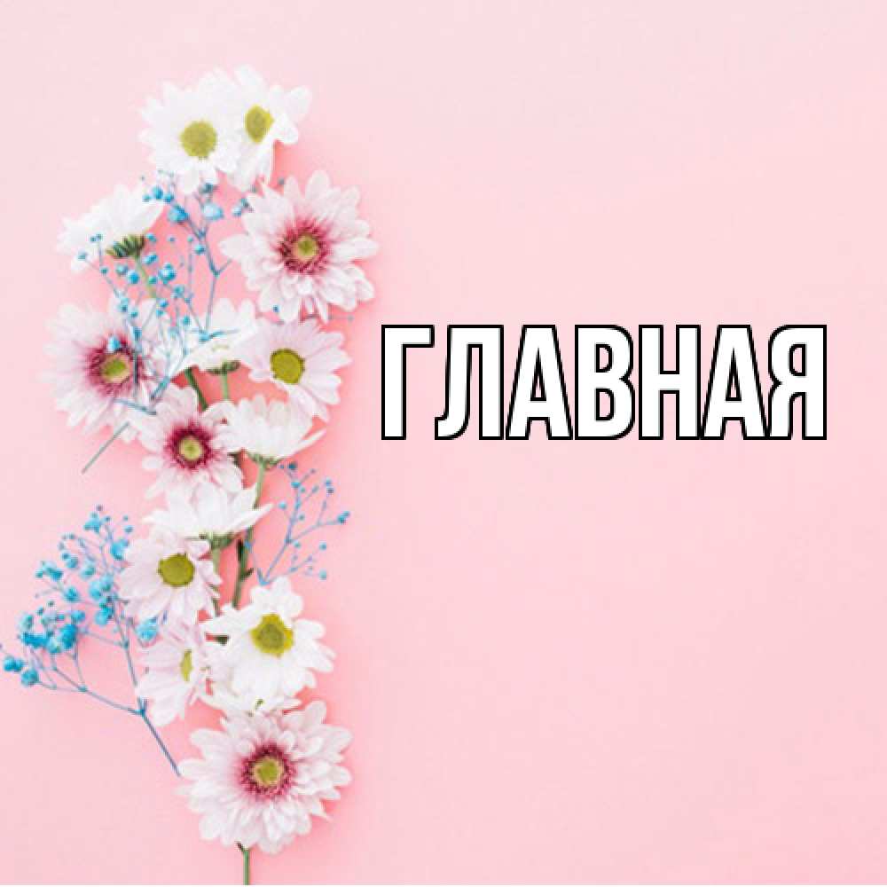 Открытка на каждый день с именем, настя Главная цветы с подписью Прикольная открытка с пожеланием онлайн скачать бесплатно 