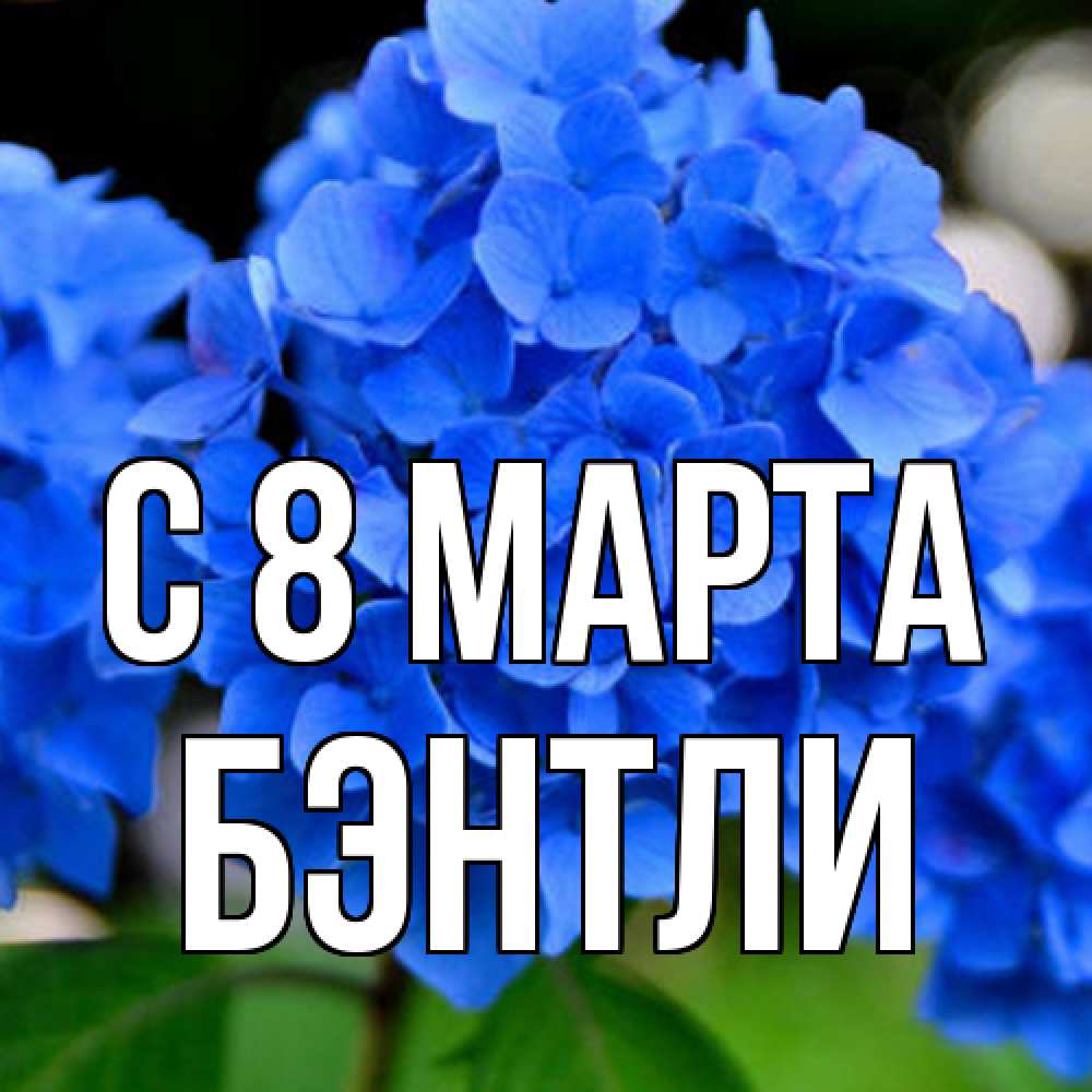 Открытка на каждый день с именем, Бэнтли C 8 МАРТА синие цветы Прикольная открытка с пожеланием онлайн скачать бесплатно 