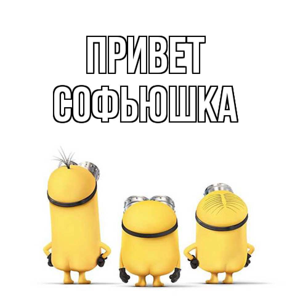 Открытка на каждый день с именем, Софьюшка Привет приветики Прикольная открытка с пожеланием онлайн скачать бесплатно 