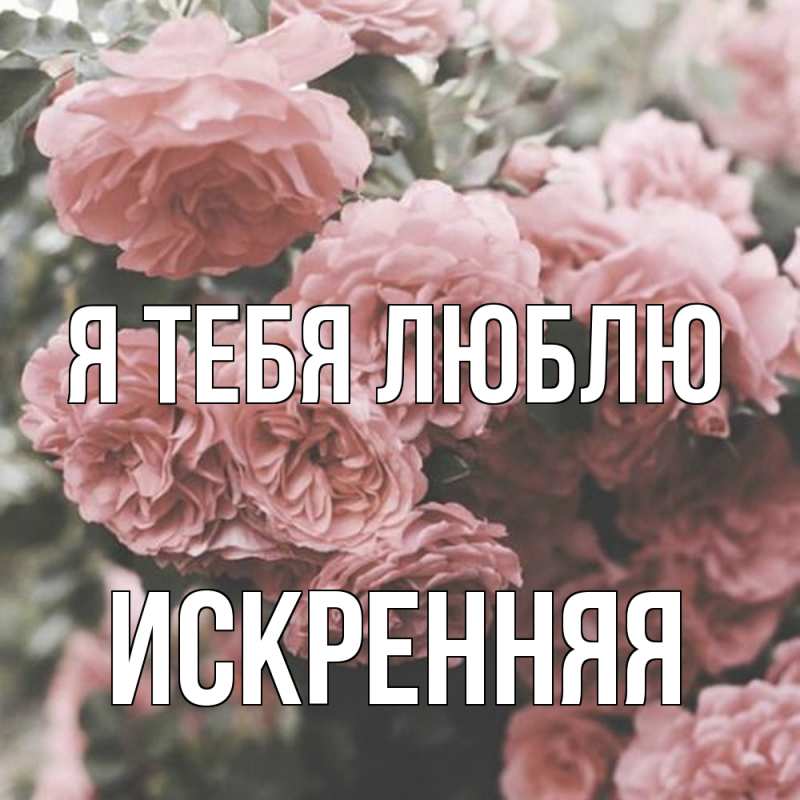 Картинка Я тебя люблю, Искренняя