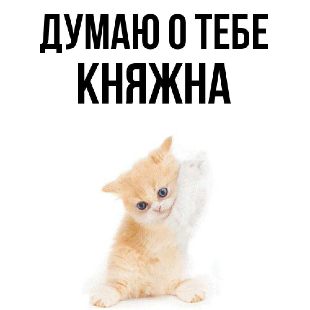 Открытка на каждый день с именем, Княжна Думаю о тебе зверушки и милота Прикольная открытка с пожеланием онлайн скачать бесплатно 