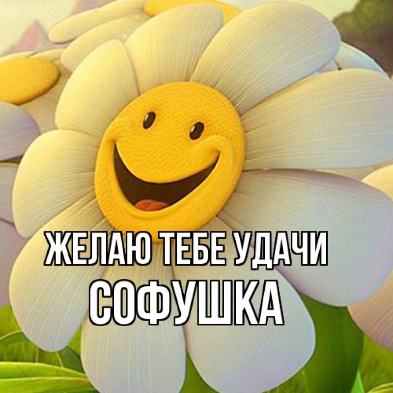 Картинка Желаю тебе удачи, Софушка