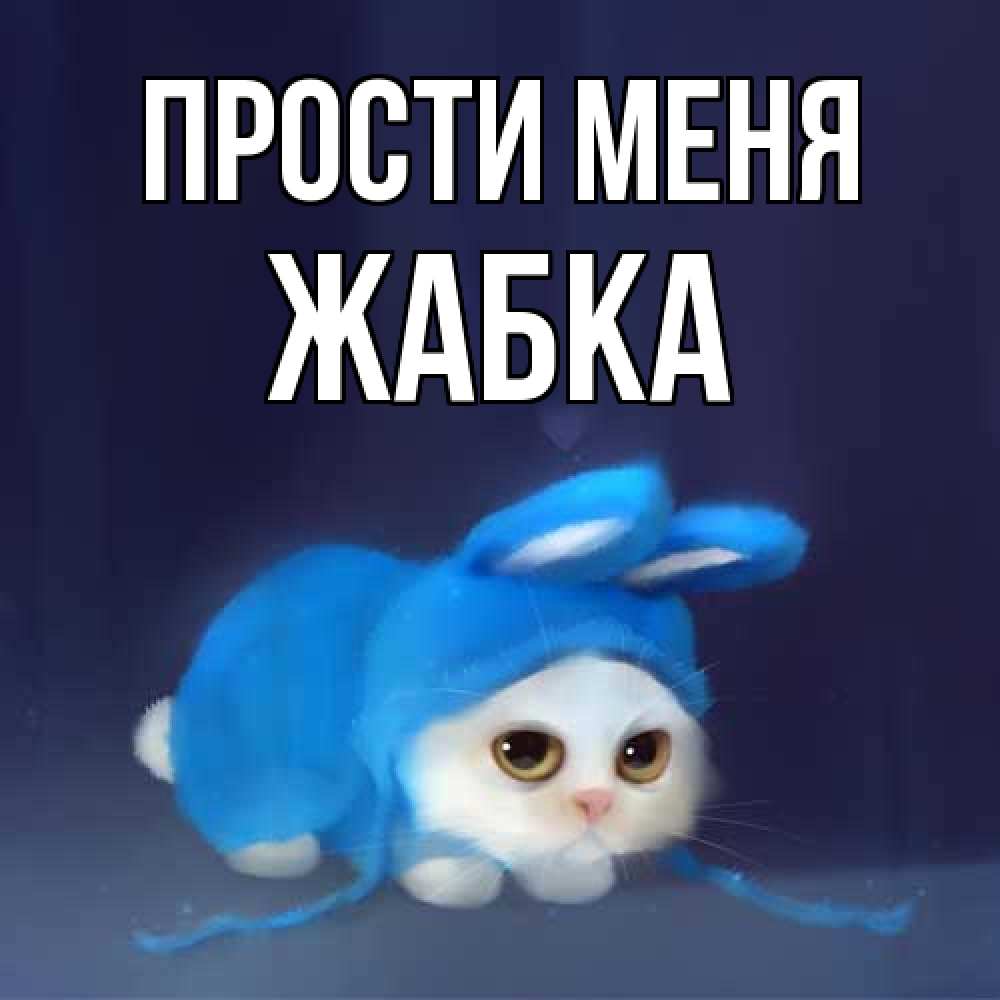 Открытка на каждый день с именем, Жабка Прости меня невинный котозай просит прощения Прикольная открытка с пожеланием онлайн скачать бесплатно 