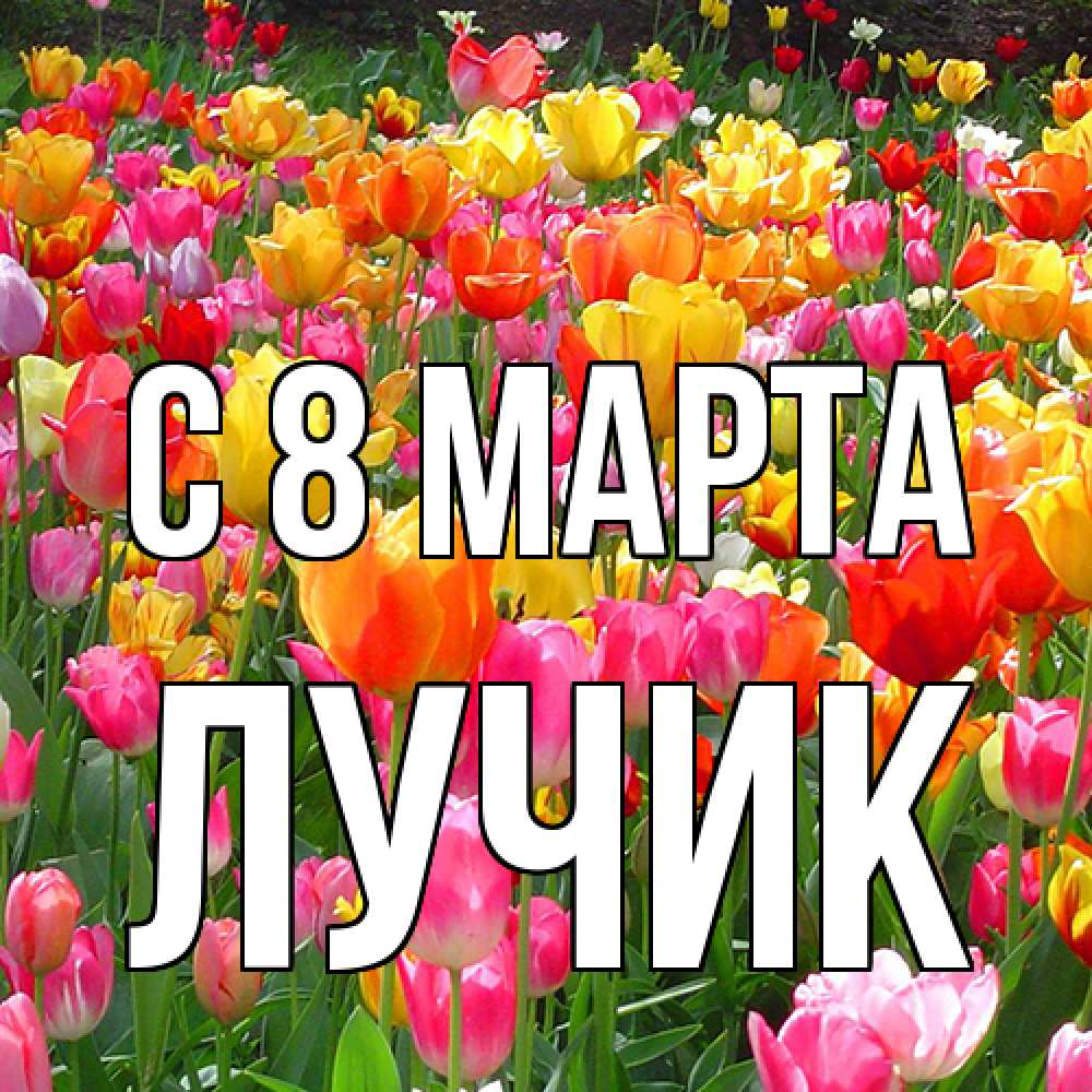 Открытка на каждый день с именем, Лучик C 8 МАРТА на международный женский день Прикольная открытка с пожеланием онлайн скачать бесплатно 