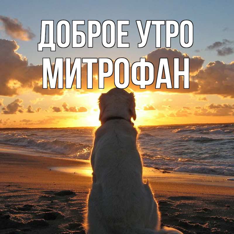 Картинка Доброе утро, Митрофан