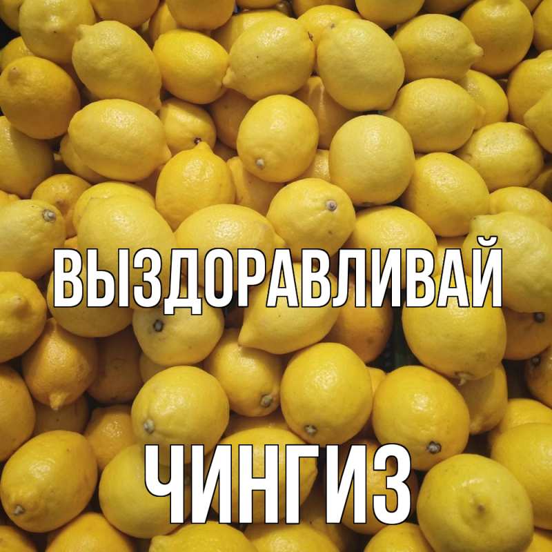 Картинка Выздоравливай, Чингиз