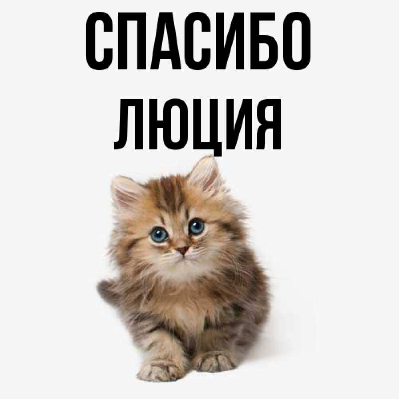 Картинка Спасибо, Люция