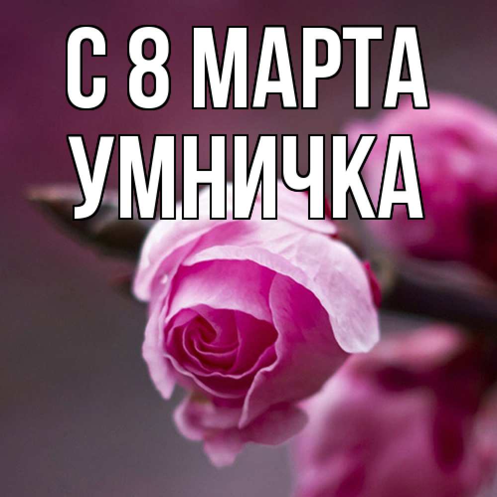 Открытка на каждый день с именем, Умничка C 8 МАРТА весна Прикольная открытка с пожеланием онлайн скачать бесплатно 