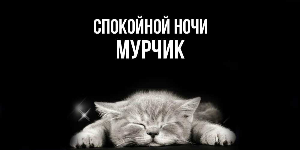 Открытка на каждый день с именем, Мурчик Спокойной ночи спящий котик Прикольная открытка с пожеланием онлайн скачать бесплатно 