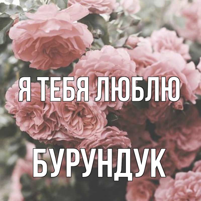 Картинка Я тебя люблю, Бурундук