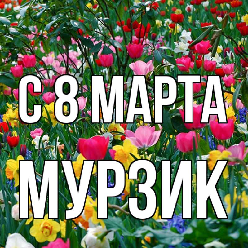 Картинка C 8 МАРТА, Муpзик