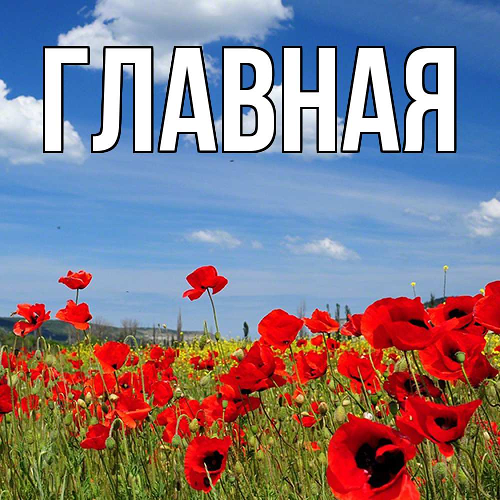 Открытка на каждый день с именем, настя Главная международный женский день 1 Прикольная открытка с пожеланием онлайн скачать бесплатно 