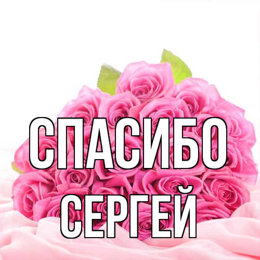 Открытка на каждый день с именем, Сергей Спасибо розовые розы с подписью Прикольная открытка с пожеланием онлайн скачать бесплатно 