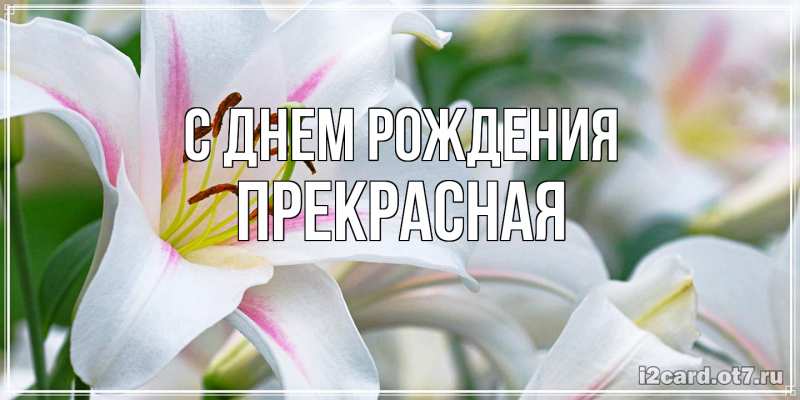 Картинка С днем рождения, Пpекpасная