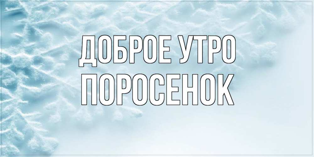 Открытка на каждый день с именем, Поросенок Доброе утро классное зимнее утро Прикольная открытка с пожеланием онлайн скачать бесплатно 