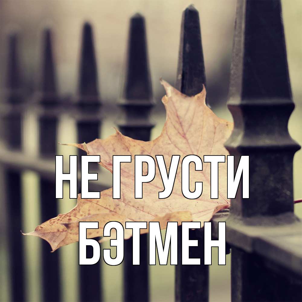 Открытка на каждый день с именем, Бэтмен Не грусти лист клена Прикольная открытка с пожеланием онлайн скачать бесплатно 