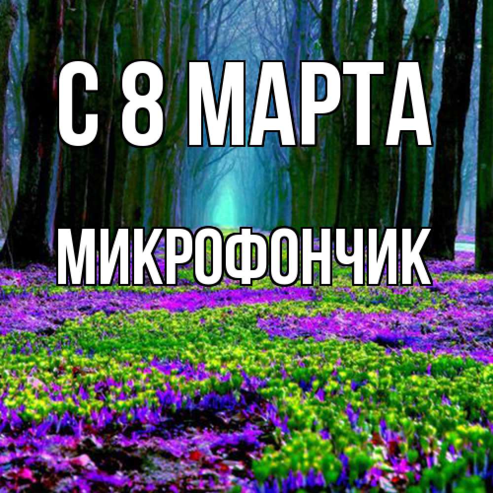 Открытка на каждый день с именем, Микрофончик C 8 МАРТА фиолетовые цветы в лесу 1 Прикольная открытка с пожеланием онлайн скачать бесплатно 