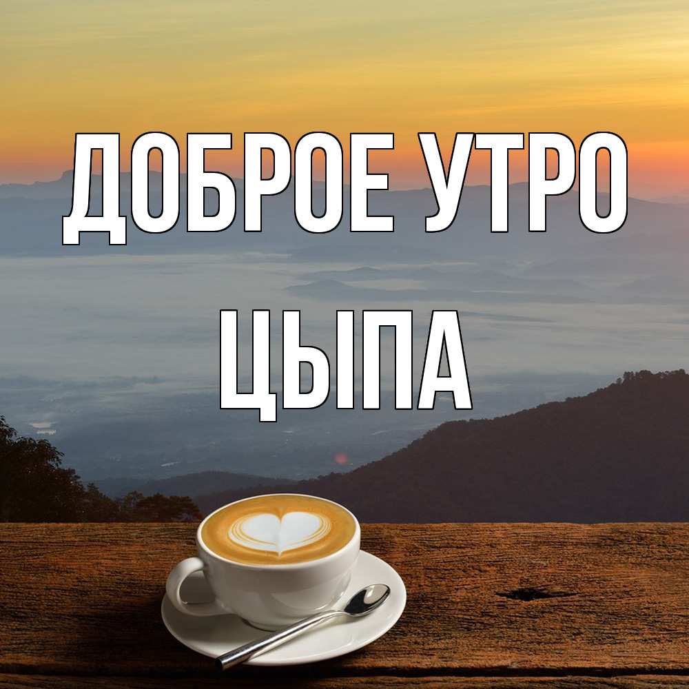 Открытка на каждый день с именем, Цыпа Доброе утро кофе на высоте Прикольная открытка с пожеланием онлайн скачать бесплатно 