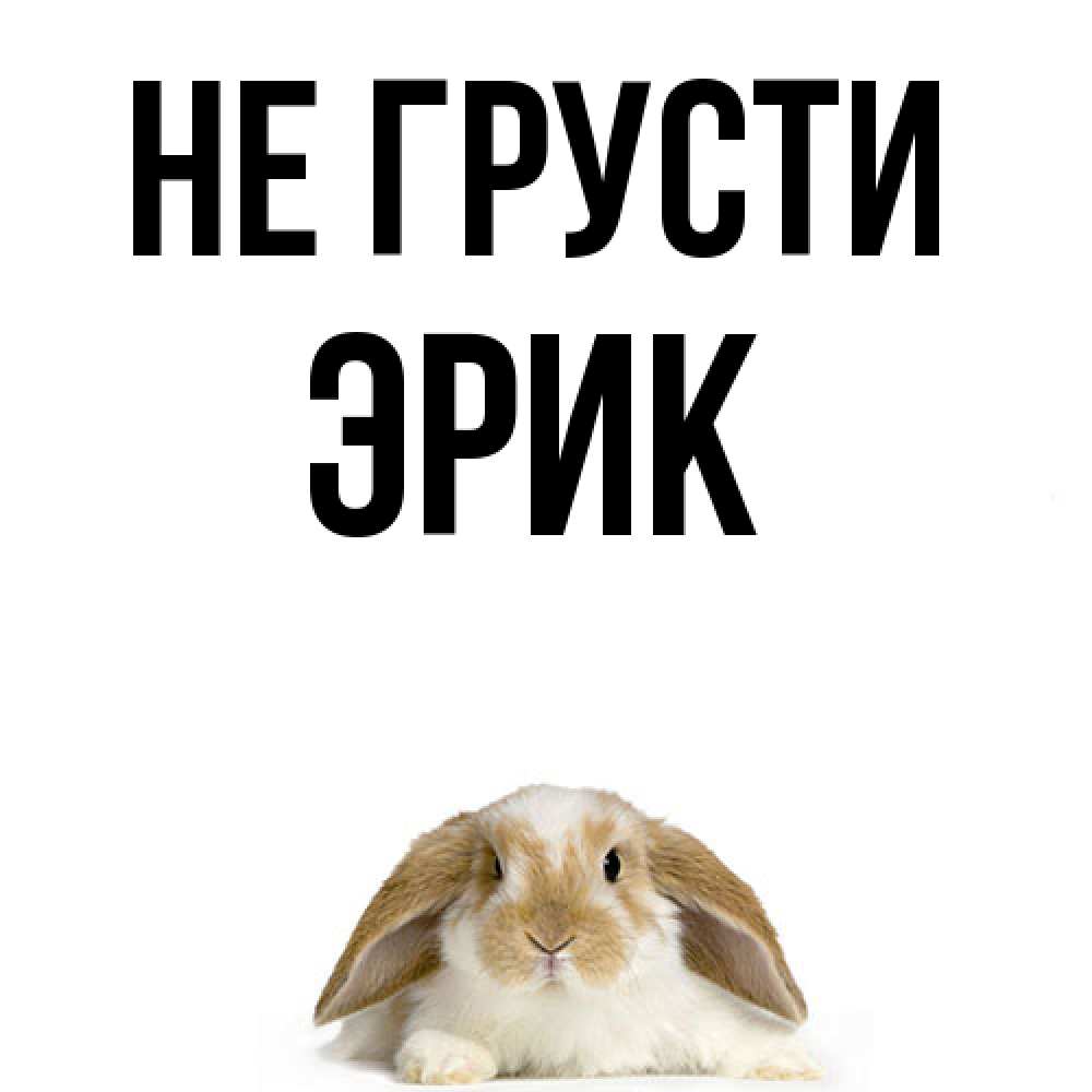 Открытка на каждый день с именем, Эрик Не грусти коричнево белый заяц с большими ушками Прикольная открытка с пожеланием онлайн скачать бесплатно 