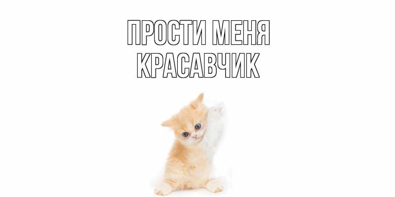 Картинка Прости меня, Красавчик