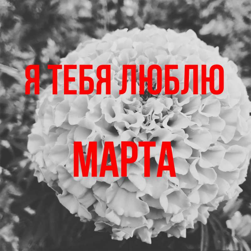 Картинка Я тебя люблю, Марта