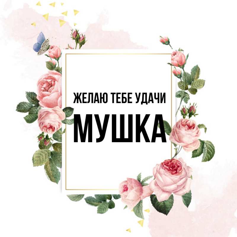 Картинка Желаю тебе удачи, мушка
