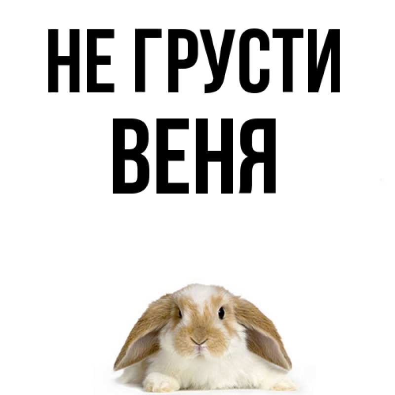 Картинка Не грусти, Веня