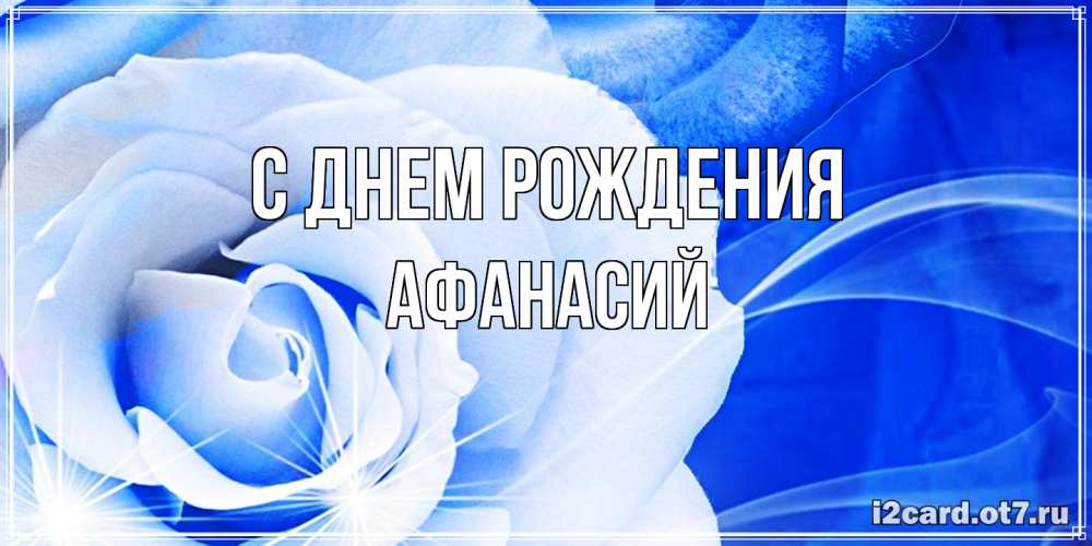 Открытка на каждый день с именем, Афанасий С днем рождения белая роза на голубом фоне Прикольная открытка с пожеланием онлайн скачать бесплатно 