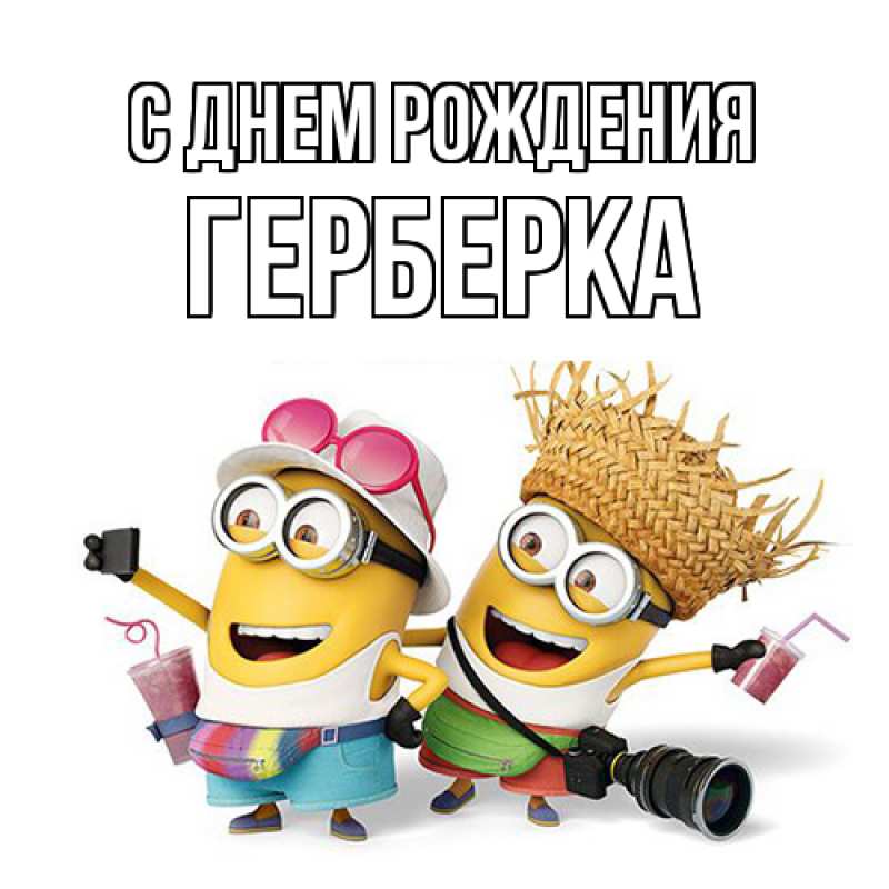 Картинка С днем рождения, Герберка