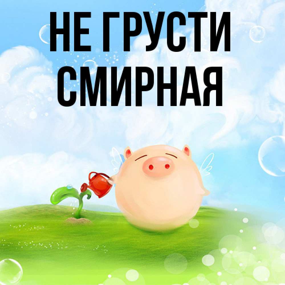 Открытка на каждый день с именем, Смиpная Не грусти поливает цветок порося Прикольная открытка с пожеланием онлайн скачать бесплатно 