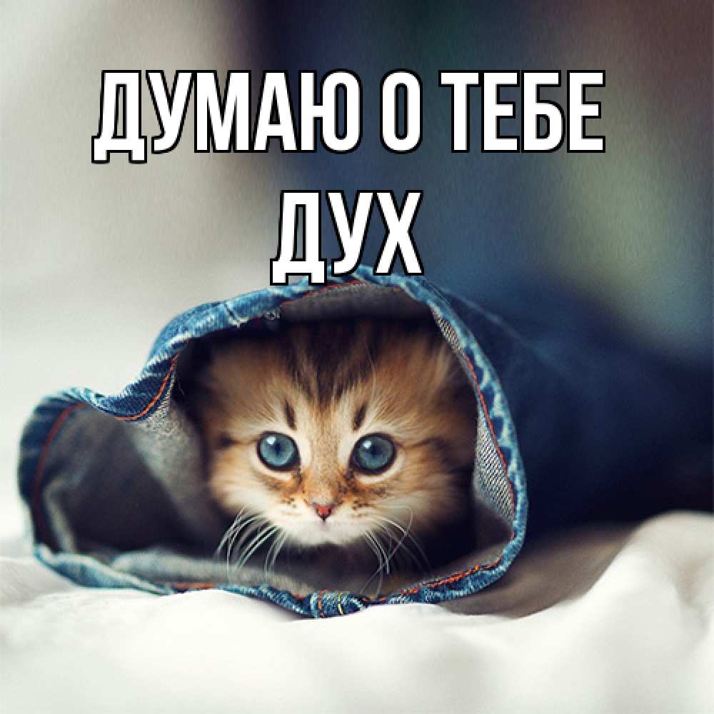 Открытка на каждый день с именем, Дух Думаю о тебе мне без тебя плохо Прикольная открытка с пожеланием онлайн скачать бесплатно 